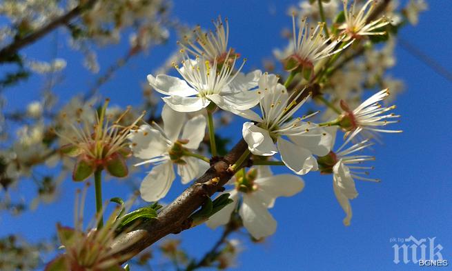 Пролетното лято ни връхлита с нова сила! Слънцето ще грее неуморно, температурите ще се повишат