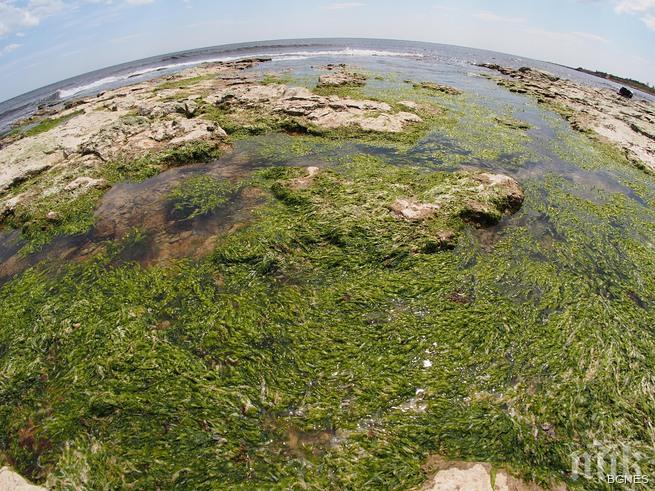 Денят на земята - багри от природата