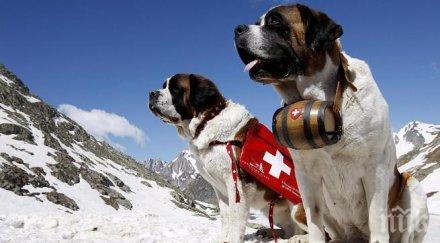 туристите драма швейцария забраниха снимките санбернар
