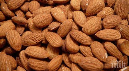 здравословни алтернативи лошите храни