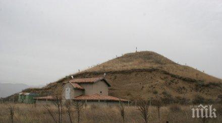 голяма косматка отваря врати празника розата