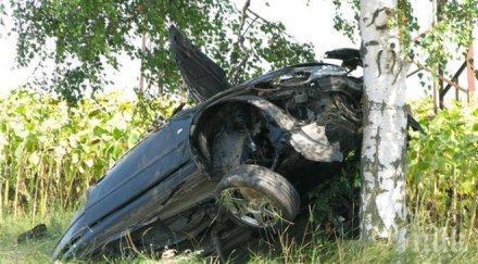 ексклузивно нова кървава драма пътя автомобил двама души заби зверски крайпътно дърво търговище единият бере душа обновена
