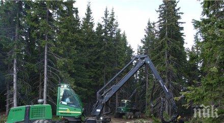 зам кметът чепеларе освободен длъжност