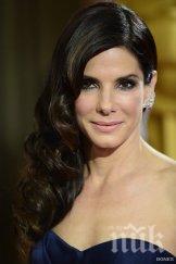 сандра бълок обявена красива жена 2015