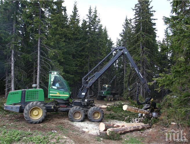 Зам.-кметът на Чепеларе е освободен от длъжност