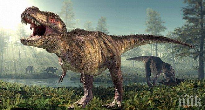 Откриха динозавърска магистрала на 115 милиона години 
