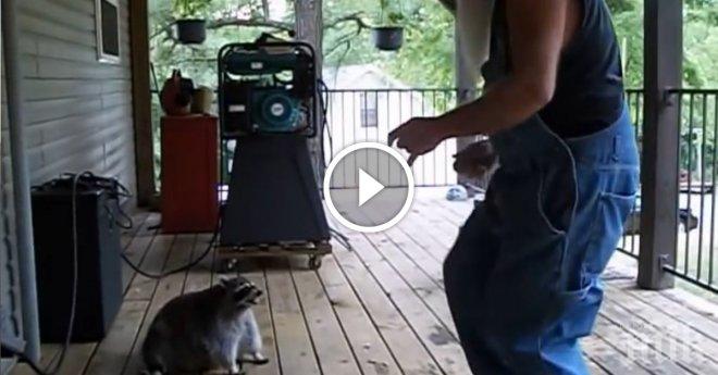 Този човек си танцуваше, докато една миеща мечка не се приближи към него...