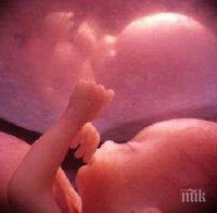 Призовават Китай да спре опитите с човешки ембриони