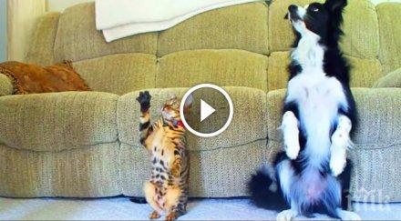 гледай внимателно двама приятели имат скрити таланти подозирал