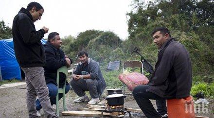 оон разисква експулсирането ромите франция