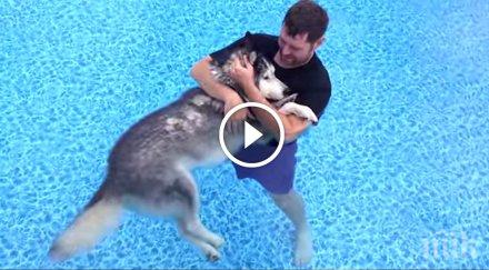 плува редовно своето куче причината път накара просълзя