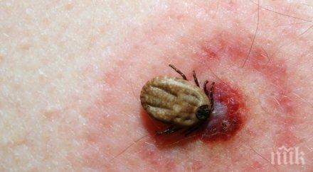 започна пръскането кърлежи комари софия