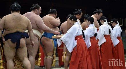 аоияма срина йерархията сумото