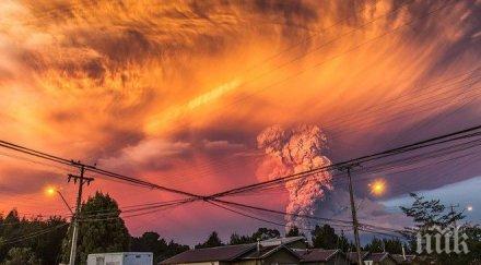 изригването вулкана калбуко чили струва минимум 600 милиона долара