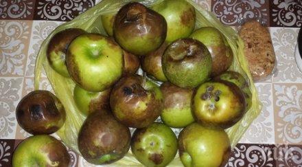 вижте какви помощи получават слепите