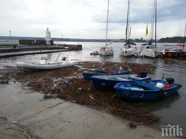 Служители на РИОСВ-Бургас забраниха да се чисти Ропотамо