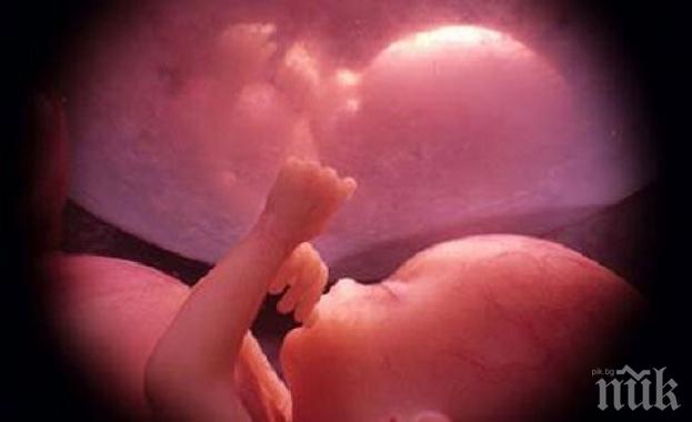Призовават Китай да спре опитите с човешки ембриони