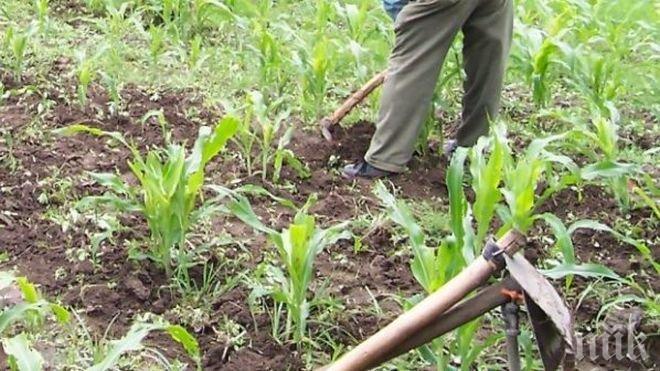 22-годишен, карал без книжка, ще копае градинки