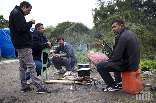 ООН разисква експулсирането на ромите от Франция
