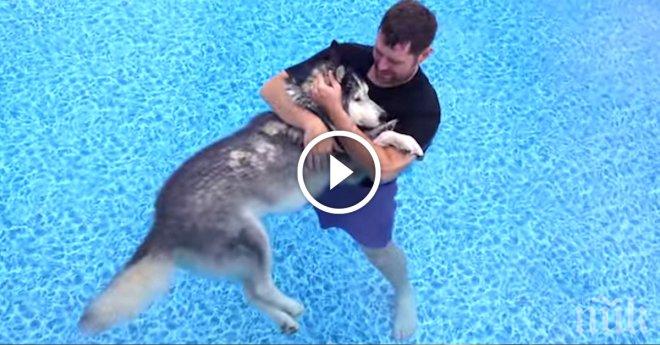 Той плува редовно със своето куче. Причината? Този път ме накара да се просълзя...