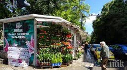 търговците чаталджа искат намаление наемите