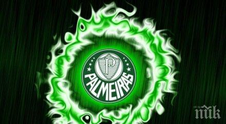 фен палмейрас бере душа тежък побой