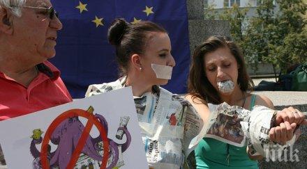 фрийдъм хаус българия свобода словото