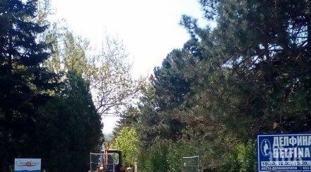 разкопават морската градина варна снимки