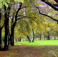 Дариха 100 дръвчета на Община Плевен
