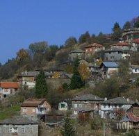 Курбан за здраве ще се проведе в Търън
