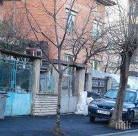 Върховна глупост! Асфалтираха дръвчета в Харманли (снимки)