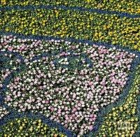 Сензация! Откриха обща снимка на Ван Гог и Гоген