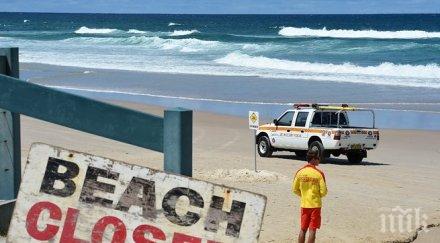 жена стана жертва акула хавайските острови