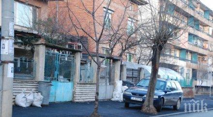 върховна глупост асфалтираха дръвчета харманли снимки