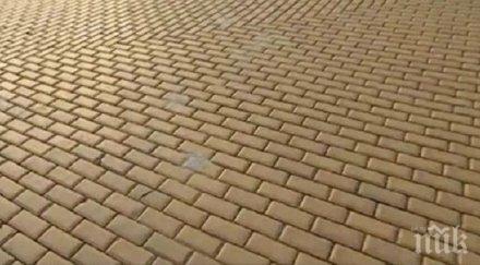 учени бан изследват жълтите павета