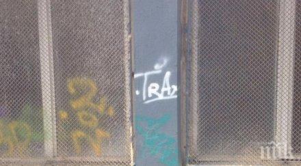 изгониха луди жени къщата рисунките планетариума варна снимки