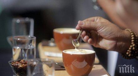 разкриха тайната дълголетието без цигари кафета дневно