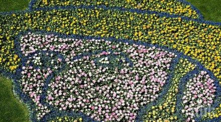 сензация откриха обща снимка ван гог гоген