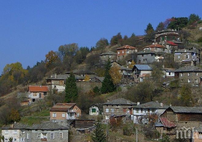 Курбан за здраве ще се проведе в Търън
