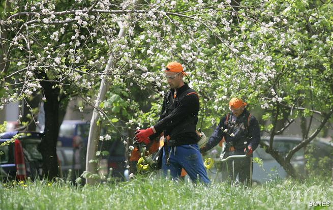 До 2 май работим за правителството