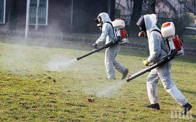 Продължава третирането на паркове и зелени площи във Велико Търново срещу бълхи и кърлежи