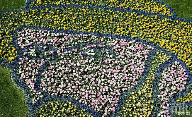 Сензация! Откриха обща снимка на Ван Гог и Гоген