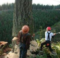 В Монтана готвят горски с английски