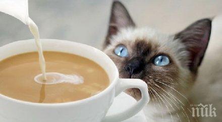 астронавт приготви първата чаша еспресо космоса