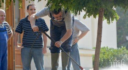 пролетно почистване враца