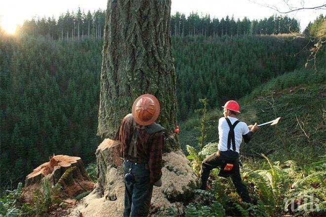 В Монтана готвят горски с английски