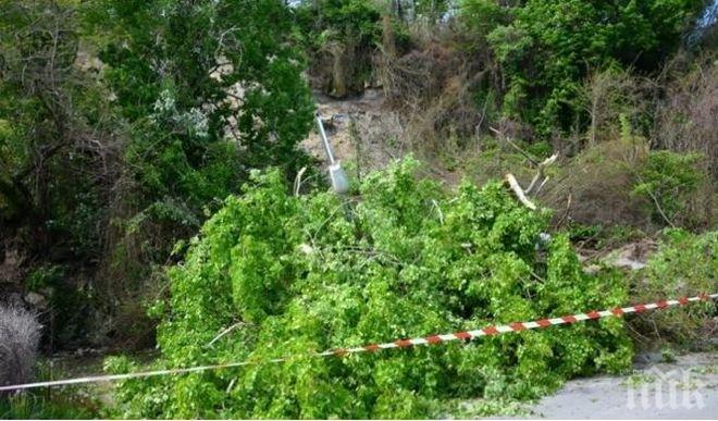 Очакват още свличане на земна маса в Морската градина