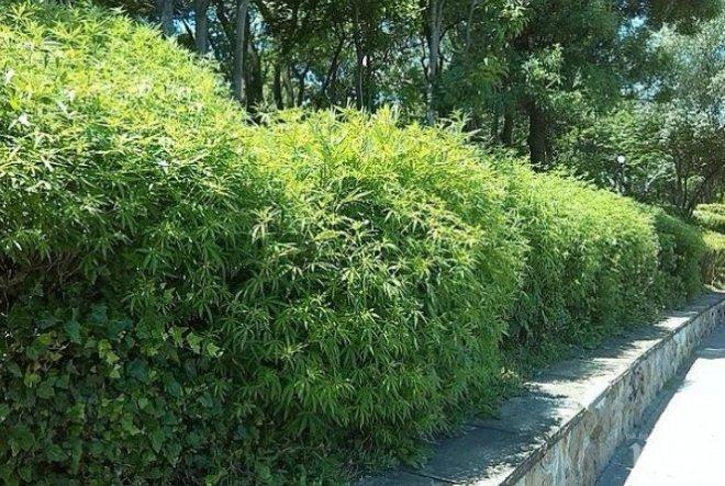 Правят супертоалетна в Борисовата градина