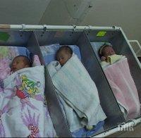 Замразяват 5000 бебета годишно у нас