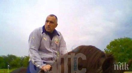 спекулация бойко борисов яхнал кон обиколи медийното пространство снимки